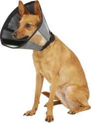 ZenPet ZenCone Soft Recovery Dog & Cat Collar, Small slide 1 of 6