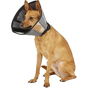 ZenPet ZenCone Soft Recovery Dog & Cat Collar, Small