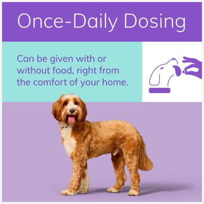 Show full view: Zenrelia (ilunocitinib tablets) for Dogs, 4.8-mg, 30 tablets slide 4 of 8