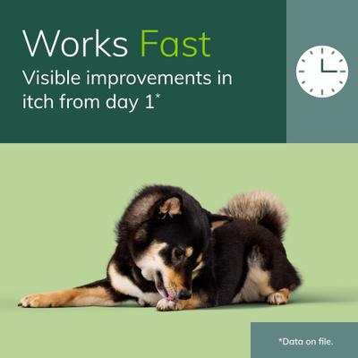 Show full view: Zenrelia (ilunocitinib tablets) for Dogs, 8.5-mg, 90 tablets slide 5 of 8