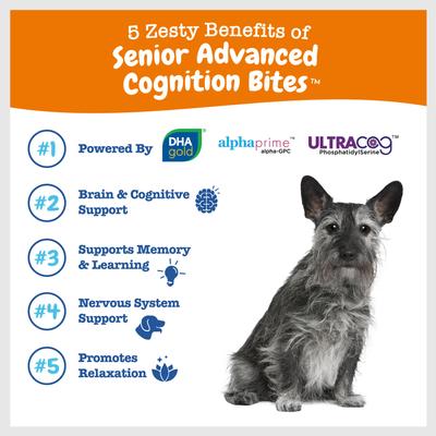 Show full view: Zesty Paws 11-in-1 Bites Multifunctional MSM & Curcumin + Cranberry & Lutein Senior Chicken Flavor Dog Supplement, 90 count + Zesty Paws Seniors Advanced Cognition Bites Chicken Flavor Dog Supplement, 90 count slide 9 of 9