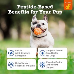 Zesty Paws 8-in-1 Bites Chicken Flavored Soft Chews Multivitamin for Dogs, 90 count
