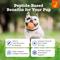 Show in main carousel: Zesty Paws 8-in-1 Bites Chicken Flavored Soft Chews Multivitamin for Dogs, 90 count slide 4 of 12
