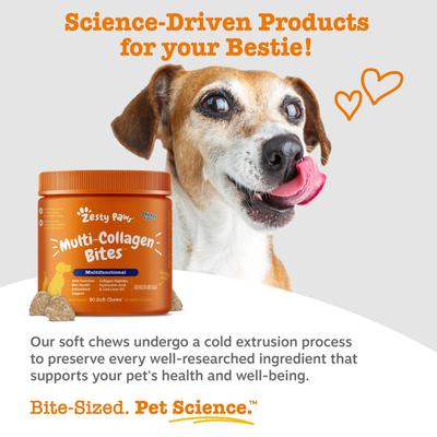 Show full view: Zesty Paws 8-in-1 Bites Chicken Flavored Soft Chews Multivitamin for Dogs, 90 count slide 8 of 12