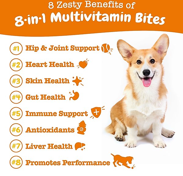 Show full view: Zesty Paws 8-in-1 Bites Chicken Flavored Soft Chews Multivitamin for Dogs, 10 count slide 2 of 11
