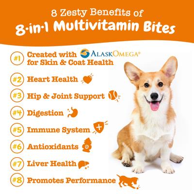 Show full view: Zesty Paws 8-in-1 Multivitamin Bites + Salmon Bites Skin & Coat Dog Supplement slide 5 of 9