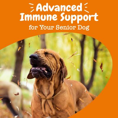 Show full view: Zesty Paws Advanced Allergy & Immune Bites Salmon Flavored Soft Chews Allergies, Immune, & Skin Support Supplement for Senior Dogs, 180 count slide 8 of 12