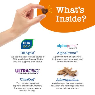 Show full view: Zesty Paws Advanced Cognition Bites Chicken Flavored Soft Chews Brain & Nervous System Supplement for Senior Dogs, 90 count slide 4 of 12