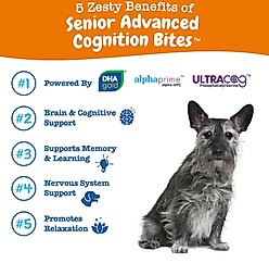 Zesty Paws Advanced Cognition Bites Chicken Flavored Soft Chews Brain & Nervous System Supplement for Senior Dogs, 90 count slide 2 of 9