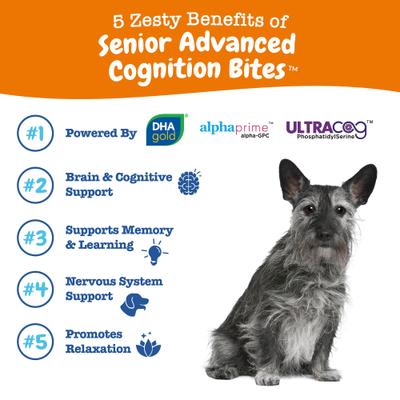 Show full view: Zesty Paws Advanced Cognition Bites Chicken Flavored Soft Chews Brain & Nervous System Supplement for Senior Dogs, 90 count slide 3 of 12