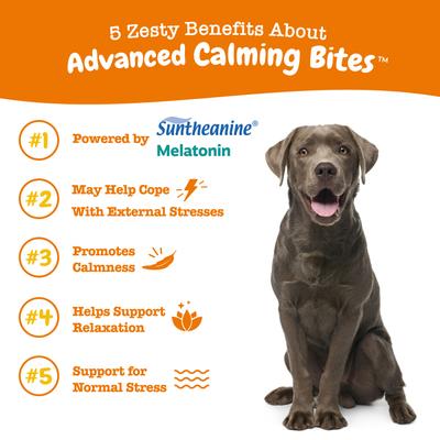 Show full view: Zesty Paws Advanced Hemp Melatonin Calming Bites Turkey Flavored Soft Chews Composure Supplement for Dogs, 180 count slide 6 of 12