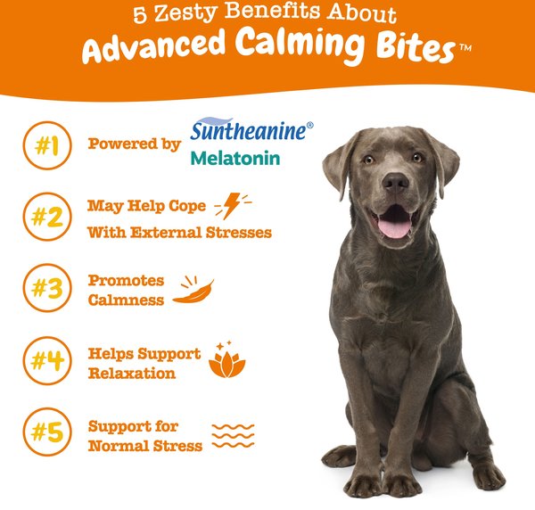 Show full view: Zesty Paws Advanced Hemp Melatonin Calming Bites Turkey Flavored Soft Chews Composure Supplement for Dogs, 90 count slide 2 of 11
