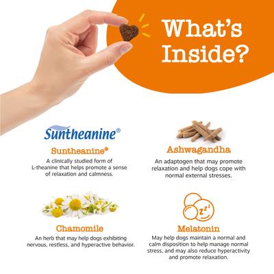 Show full view: Zesty Paws Advanced Hemp Melatonin Calming Bites Turkey Flavored Soft Chews Composure Supplement for Dogs, 90 count slide 4 of 12