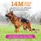 Show in main carousel: Zesty Paws Advanced Mobility Bites Chicken Flavored Soft Chews Glucosamine Hip & Joint Supplement for Senior Dogs, 90 count slide 4 of 11