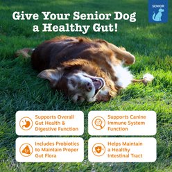 Zesty Paws Advanced Probiotic Bites Chicken Flavored Soft Chews Digestive Supplement for Senior Dogs, 90 Count slide 2 of 9