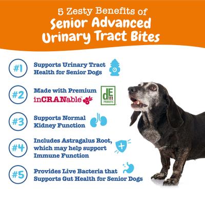 Show full view: Zesty Paws Advanced Urinary Tract Bites Chicken Flavored Soft Chew Kidney Supplement for Senior Dogs, 90 count slide 3 of 11