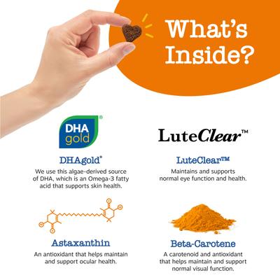 Zesty Paws Advanced Vision Bites Chicken Flavored Soft Chews Vision Supplement for Senior Dogs