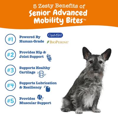 Show full view: Zesty Paws Advanced Vision Chicken Flavored Soft Chews Vision Supplement & Advanced Mobility Chicken Flavored Chews Hip & Joint Supplement for Senior Dogs slide 9 of 9