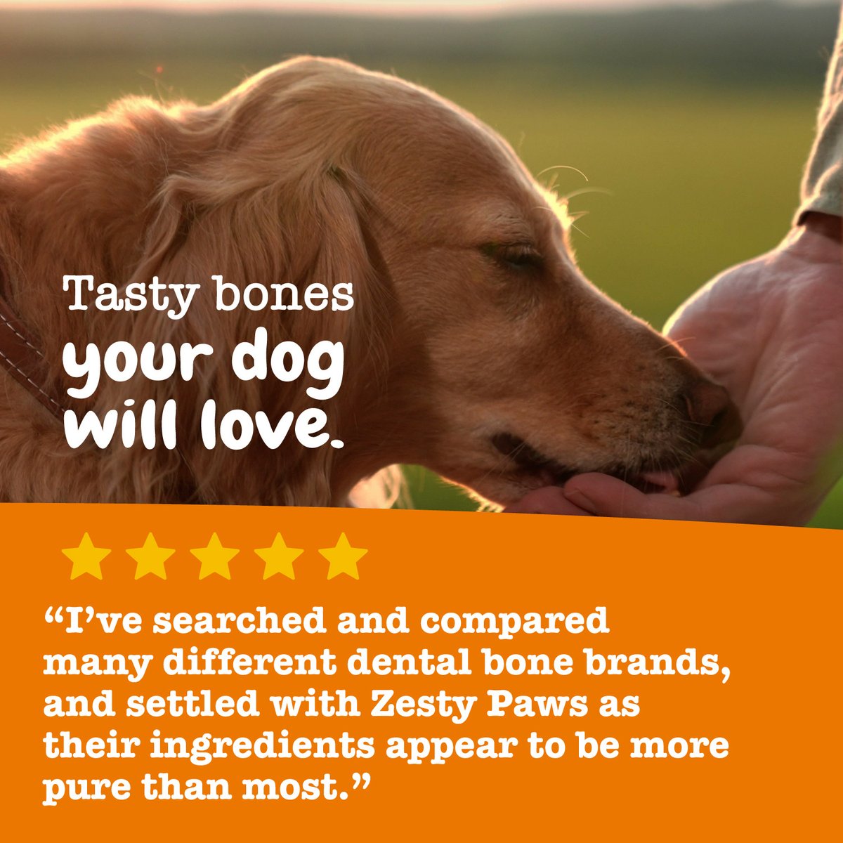 Zesty Paws All-in-One FUNctional Dental Bones Dental Chews for Large Dogs