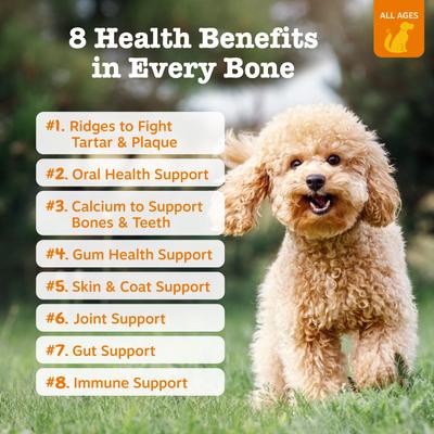 Show full view: Zesty Paws All-in-One FUNctional Dental Bones Dental Chews for Large Dogs, 24 count slide 3 of 11