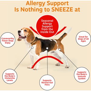 Zesty Paws Allergy & Immune Bites Lamb Flavored Soft Chews Allergies, Immune, & Gut Support Supplement for Dogs, 90 count