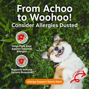 Zesty Paws Allergy & Immune Bites Lamb Flavored Soft Chews Allergies, Immune, & Gut Support Supplement for Dogs, 90 count