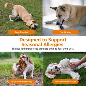 Zesty Paws Allergy & Immune Bites Lamb Flavored Soft Chews Allergies, Immune, & Gut Support Supplement for Dogs, 90 count