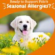 Show in main carousel: Zesty Paws Allergy & Immune Bites Lamb Flavored Soft Chews Allergies, Immune, & Gut Support Supplement for Dogs, 90 count slide 5 of 11