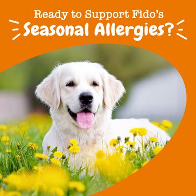 Show full view: Zesty Paws Allergy & Immune Bites Lamb Flavored Soft Chews Allergies, Immune, & Gut Support Supplement for Dogs, 90 count slide 6 of 12