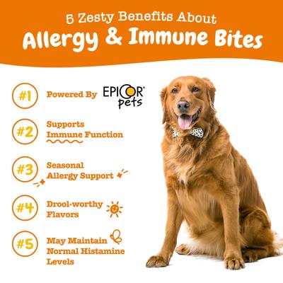 Show full view: Zesty Paws Allergy & Immune Support Lamb Flavor Soft Chew Dog Supplement, 90 count + Zesty Paws Salmon Bites Skin & Coat Dog Supplement, 90 count slide 5 of 9
