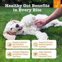 Zesty Paws Ancient Elements Probiotic Bites Bison Flavored Soft Chews Digestive Supplement for Dogs, 90 count slide 2 of 9