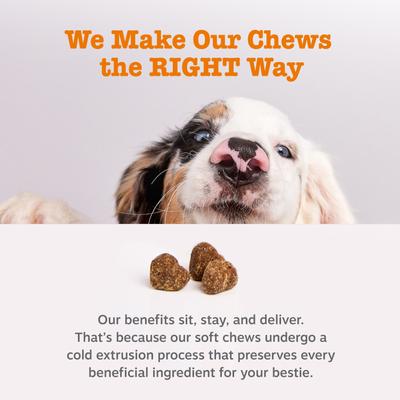 Show full view: Zesty Paws Ancient Elements Probiotic Bites Bison Flavored Soft Chews Digestive Supplement for Dogs, 90 count slide 9 of 13