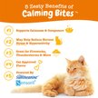 Show in main carousel: Zesty Paws Calming Bites Bacon Flavored Soft Chews Melatonin Supplement for Cats, 60 count slide 3 of 11