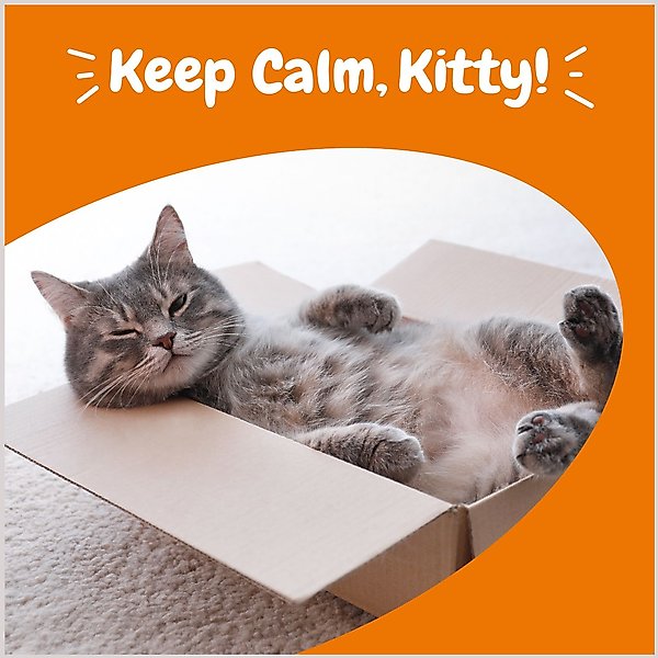 Show full view: Zesty Paws Calming Bites Bacon Flavored Soft Chews Melatonin Supplement for Cats, 60 count slide 5 of 11