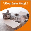 Show in main carousel: Zesty Paws Calming Bites Bacon Flavored Soft Chews Melatonin Supplement for Cats, 60 count slide 5 of 11