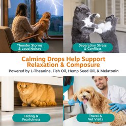 Zesty Paws Calming Salmon Oil Liquid Supplement for Dogs & Cats, 4-fl oz bottle slide 2 of 9