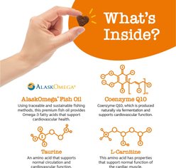 Zesty Paws Cardio Bites Salmon Flavored Soft Chews Heart Supplement for Dogs, 90 count slide 2 of 7