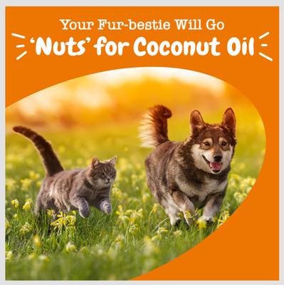 Show full view: Zesty Paws Coconut Oil Skin & Coat Digestive Liquid Topper Omega Supplement for Dogs, 16-oz jar slide 5 of 12