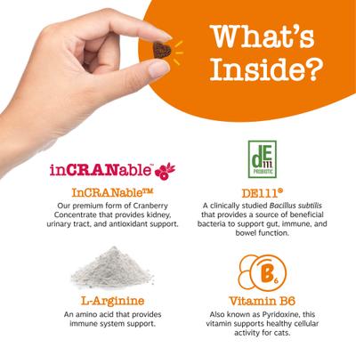 Show full view: Zesty Paws Cranberry Bladder Bites Bacon Flavored Soft Chews Urinary Supplement for Cats, 60 count slide 4 of 11