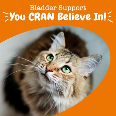 Show full view: Zesty Paws Cranberry Bladder Bites Bacon Flavored Soft Chews Urinary Supplement for Cats, 60 count slide 5 of 11