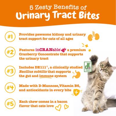Show full view: Zesty Paws Cranberry Bladder Bites Bacon Flavored Soft Chews Urinary Supplement for Cats, 60 count slide 3 of 11