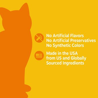 Show full view: Zesty Paws Cranberry Bladder Bites Bacon Flavored Soft Chews Urinary Supplement for Cats, 60 count slide 7 of 11