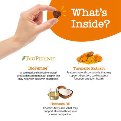 Show full view: Zesty Paws Curcumin Bites Everyday Vitality Duck Flavor Dog Supplement, 90 count + Zesty Paws 8-in-1 Multifunctional Chicken Flavor Soft Chew Dog Supplement, 90 count slide 8 of 9