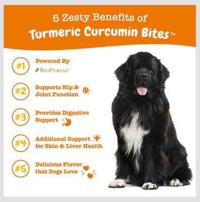 Show full view: Zesty Paws Curcumin Bites Everyday Vitality Duck Flavor Dog Supplement, 90 count + Zesty Paws 8-in-1 Multifunctional Chicken Flavor Soft Chew Dog Supplement, 90 count slide 9 of 9