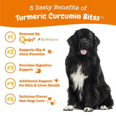 Show full view: Zesty Paws Curcumin Bites Everyday Vitality Duck Flavor Dog Supplement, 90 count + Zesty Paws Allergy & Immune Support Lamb Flavor Soft Chew Dog Supplement, 90 count slide 5 of 9