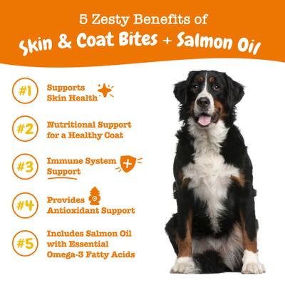Show full view: Zesty Paws Curcumin Bites Everyday Vitality Duck Flavor Dog Supplement, 90 count + Zesty Paws Salmon Bites Skin & Coat Dog Supplement, 90 count slide 7 of 9
