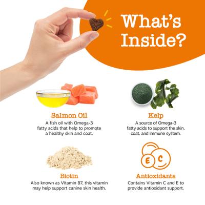 Show full view: Zesty Paws Curcumin Bites Everyday Vitality Duck Flavor Dog Supplement, 90 count + Zesty Paws Salmon Bites Skin & Coat Dog Supplement, 90 count slide 8 of 9