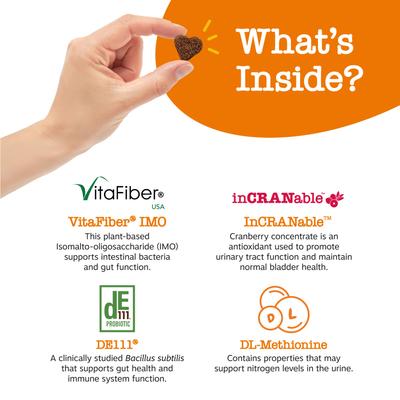 Show full view: Zesty Paws Grass Defense Stay Green Bites Digestive & Immune Health + 8-in-1 Multivitamin Bites Chicken Flavor Dog Supplement slide 8 of 9