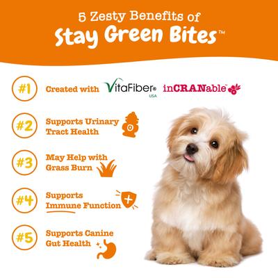 Show full view: Zesty Paws Grass Defense Stay Green Bites Digestive & Immune Health + 8-in-1 Multivitamin Bites Chicken Flavor Dog Supplement slide 9 of 9