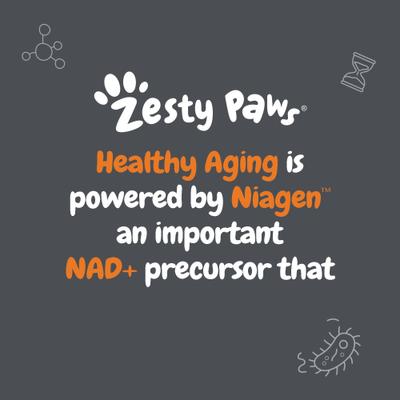 Show full view: Zesty Paws Healthy Aging NAD+ Precursor Cellular Energy, Brain, & Heart Bacon Flavor Powder Supplement for Dogs, 30 count slide 6 of 11